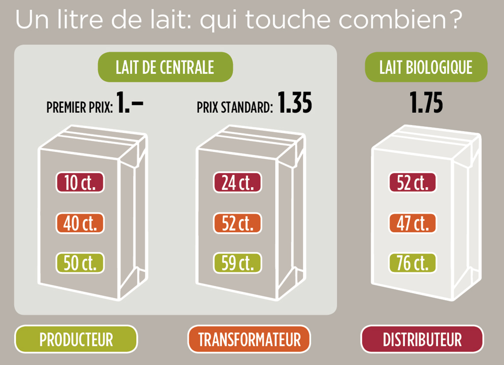 Lait: quand l’or blanc ne fait plus recette | FRC Lait: quand l’or blanc ne fait plus recette | FRC