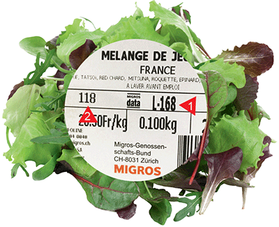 zoom-salade