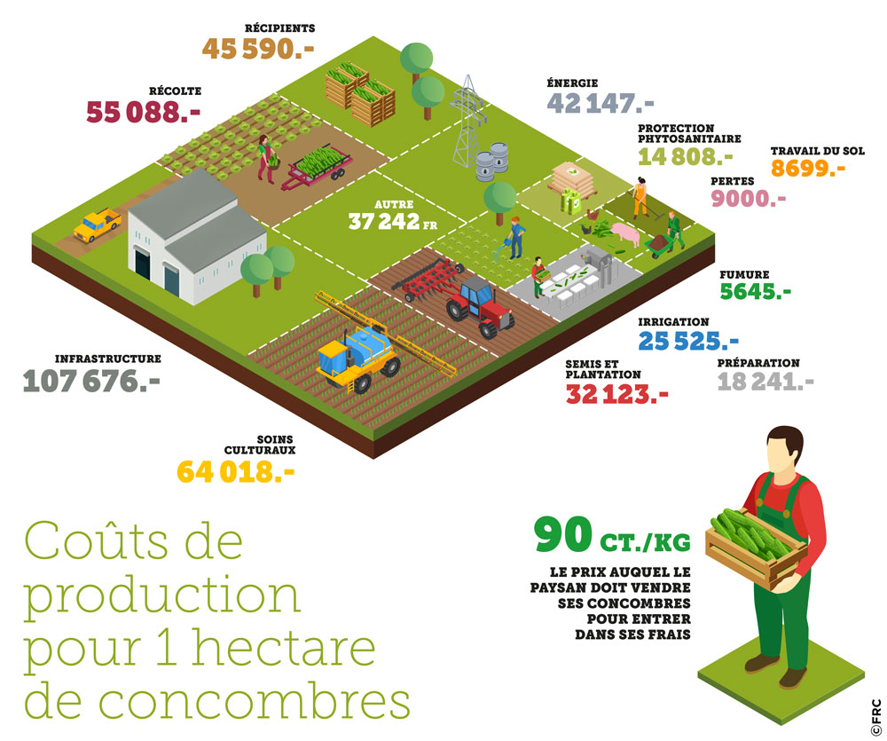 Coûts de production pour 1 hectare de concombres