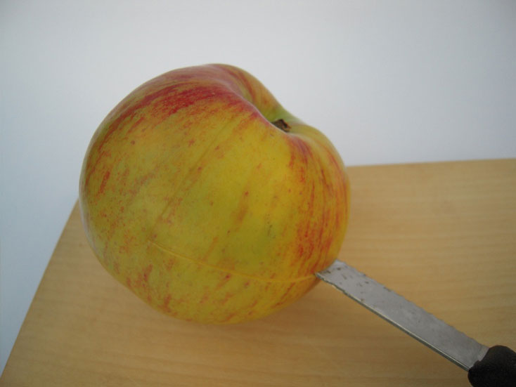 La pomme magique pour jeunes fées et magiciens