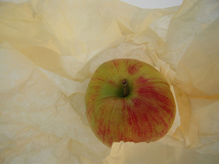 La pomme magique pour jeunes fées et magiciens