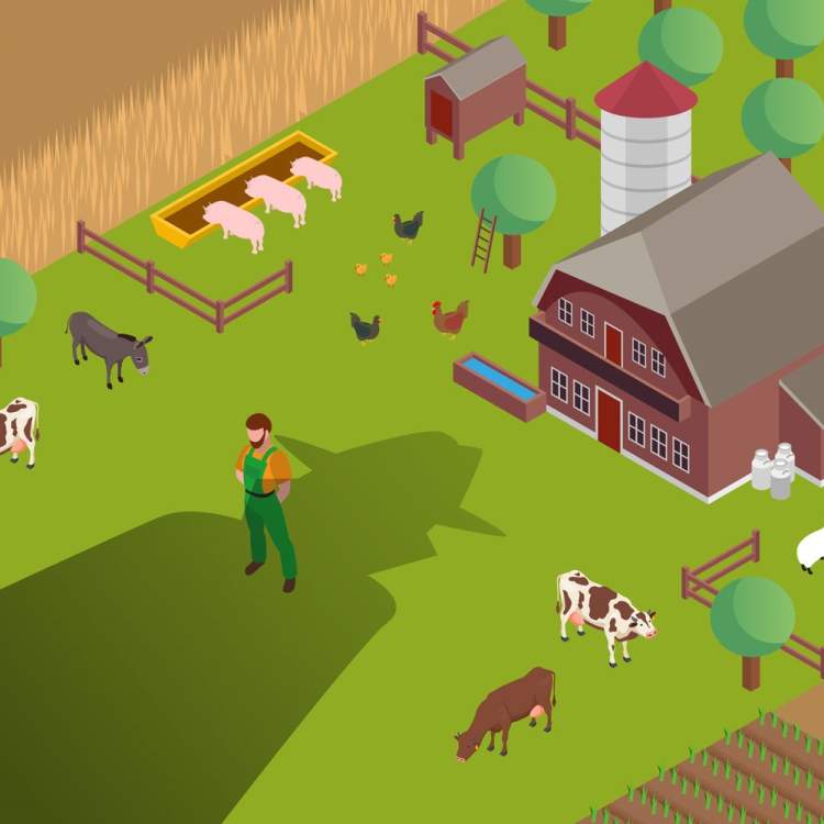 Illustration d'une exploitation agricole