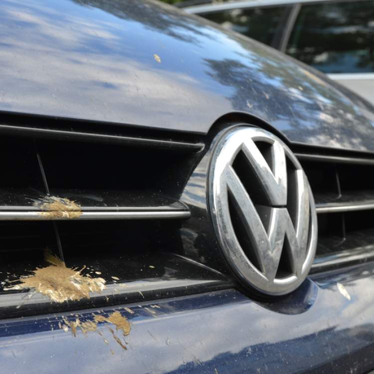 Photo du logo du constructeur automobile Volkswagen