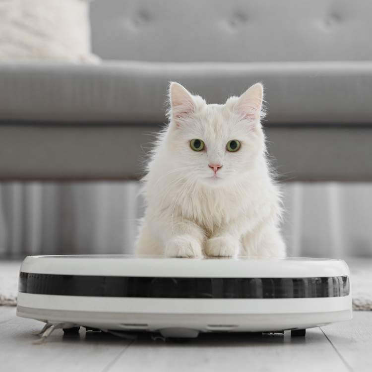 Un robot multifonctions