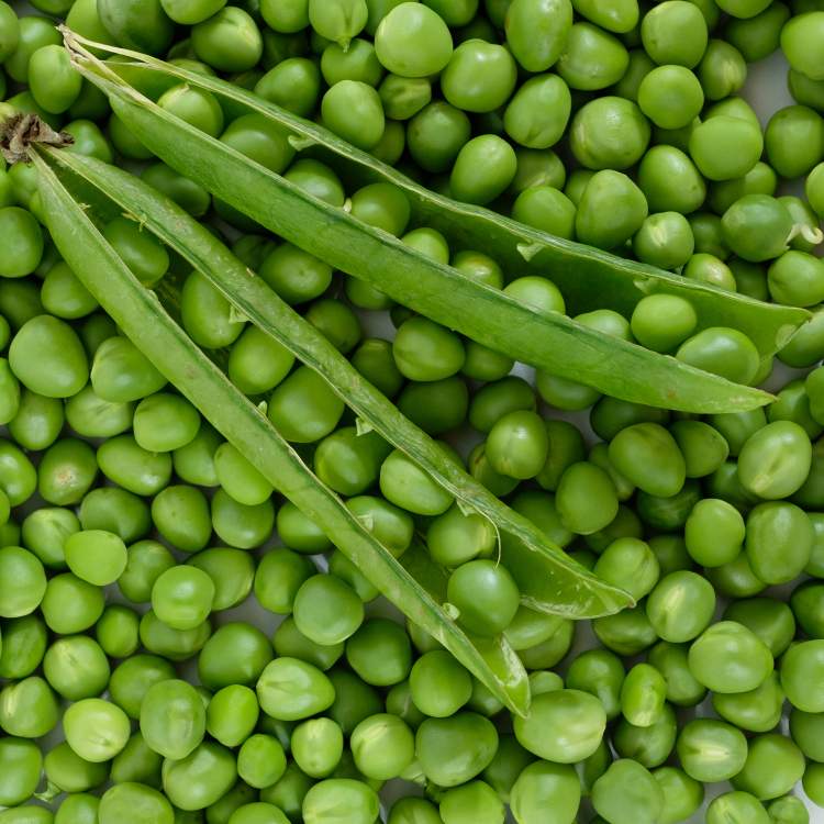 Petits pois