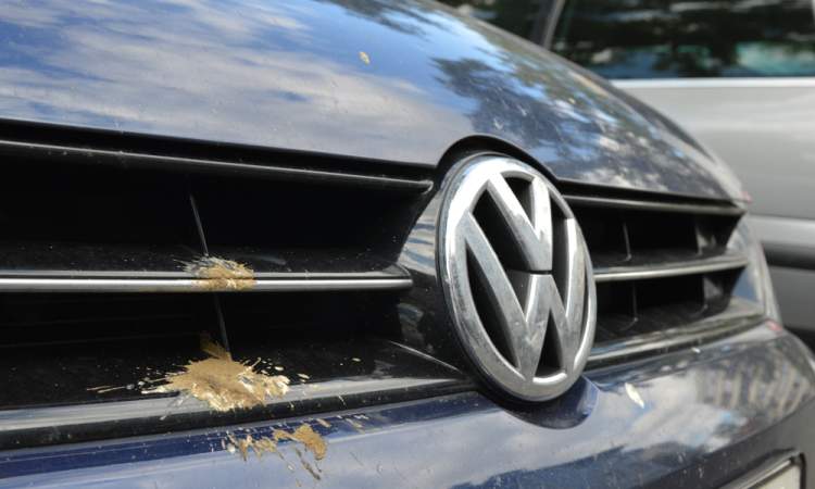 Photo du logo du constructeur automobile Volkswagen