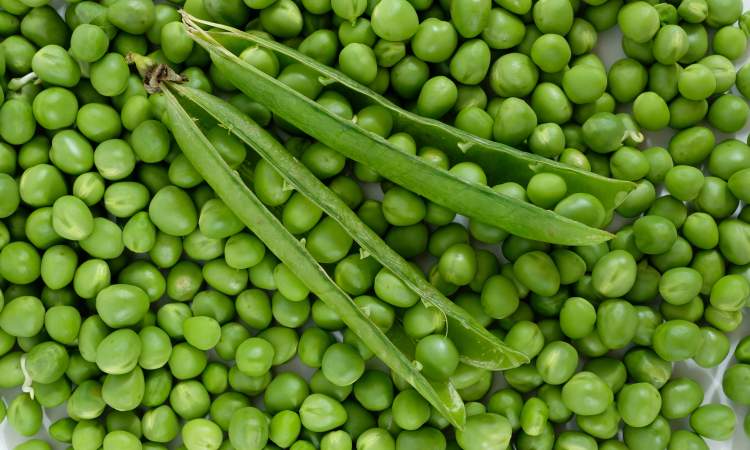 Petits pois