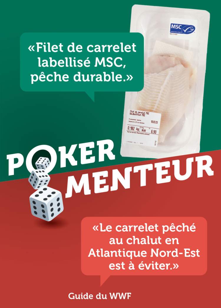 Filet de carrelet