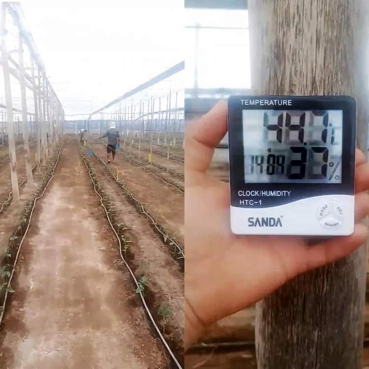 BioSol, juillet 2025