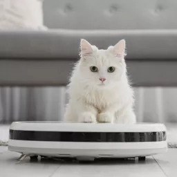 Un robot multifonctions