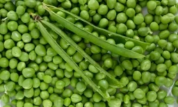 Petits pois