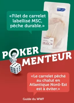 Filet de carrelet