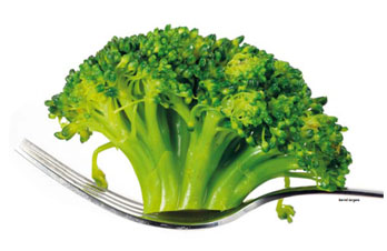 Le business des fruits et légumes