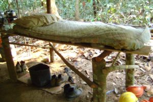 Barraquements de fortune dans les exploitations bovines au brésil