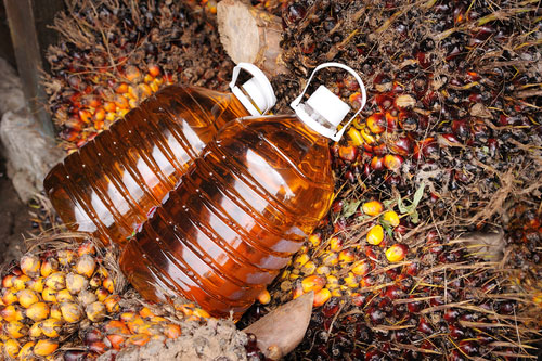 L'huile de palme, une graisse comme une autre? – Fédération romande des  consommateurs