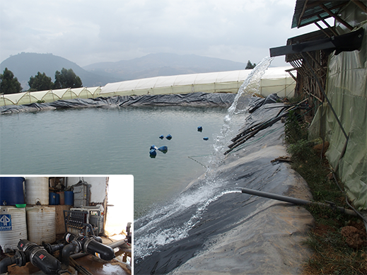 Grâce à un système de pompage, l'eau qui arrose les serres est stockée dans un bassin de rétention.