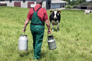 Le prix payé à l’éleveur a chuté de 18% entre 2009 et 2015. Pour Patrick Demont, la vente directe permet de contrer les marges des distributeurs. Jean-Luc Barmaverain Edler von Rabenstein/shutterstock.com