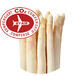 010-002-shutterstock_406446583