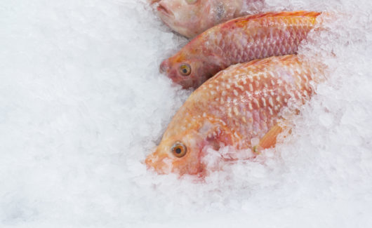 Informations fantaisistes au rayon poisson