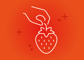 Autocueilette fraises