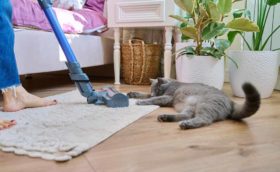 Aspirateur