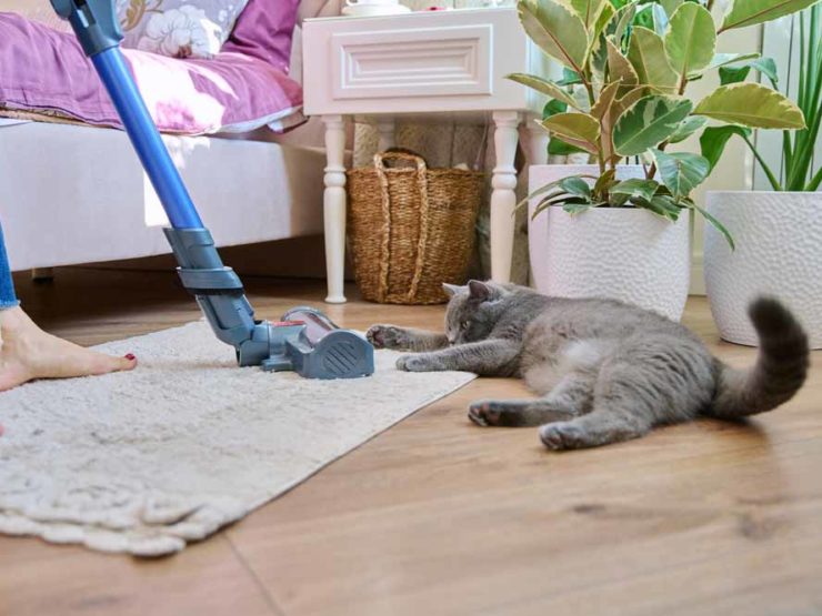 Aspirateur avec sales sac comparatif